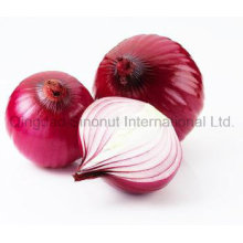 Hot Sell Fresh Crop Red Onion; Hot Sell Fresh Onion
